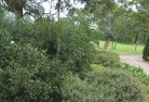 Duckenfieldresidential-landscaping-35.jpg; ?>