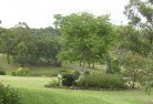 Duckenfieldresidential-landscaping-40.jpg; ?>